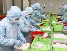 Doanh nghiệp Việt đối mặt nhiều thách thức mới từ thị trường EU