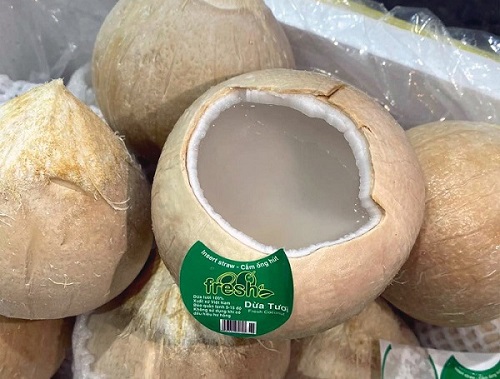 Mở cửa thị trường Hoa Kỳ đối với mặt hàng quả dừa sọ Việt Nam